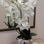 Aqua 公寓